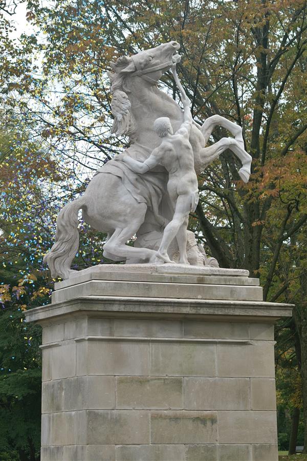 The Horse Tamer
