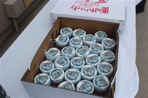 Bulldog Cupcakes 