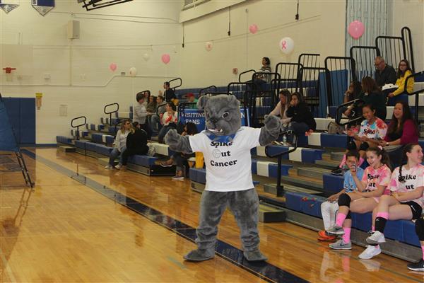 Roslyn Bulldog 