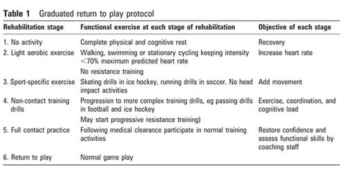 Return to Play Protocol 