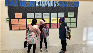Kindness challenge