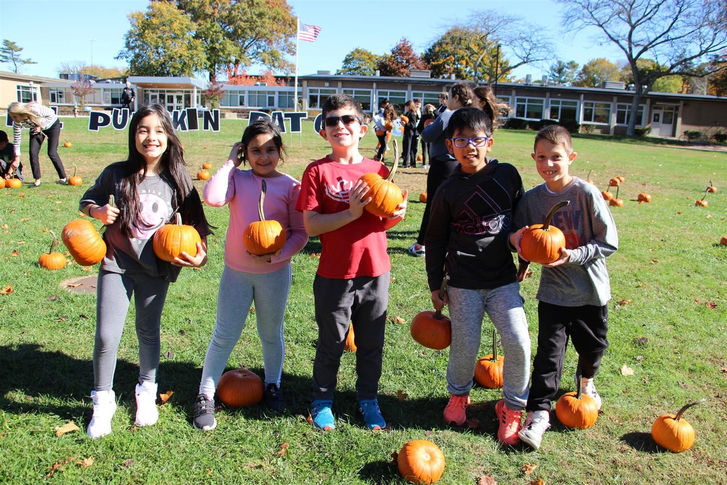  Pumpkin Picking