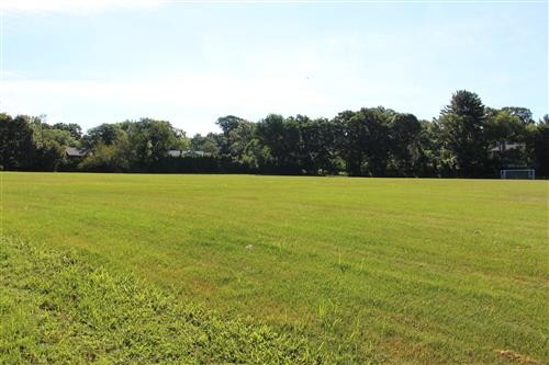 Harbor Hill fields 