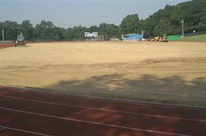 Turf Prep 4 